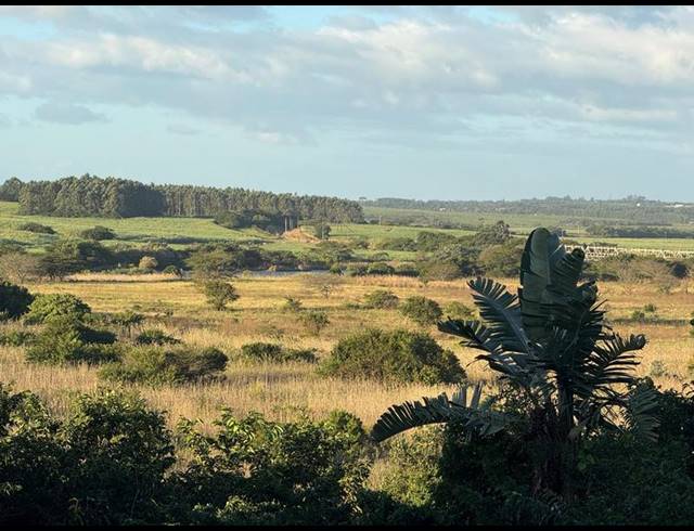 LAND FOR SALE IN ZINI RIVER ESTATE